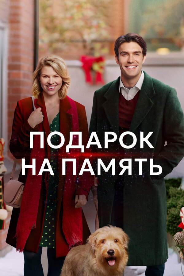 Постер: Подарок на память (2017)