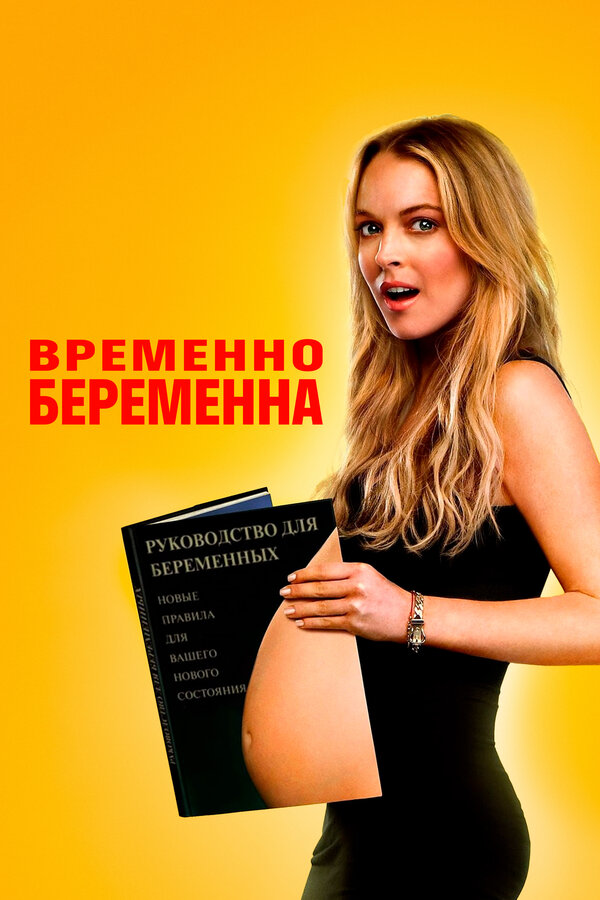 Постер: Временно беременна (2009)