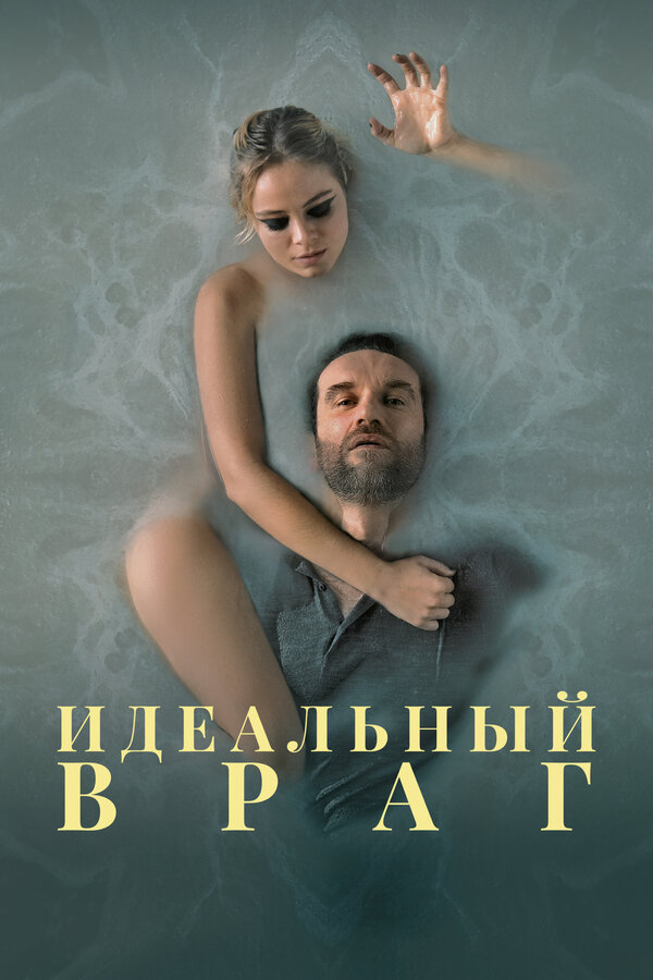 Постер: Идеальный враг (2020)