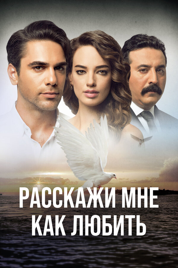 Постер: Расскажи мне, как любить (2016)