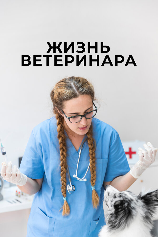 Жизнь ветеринара