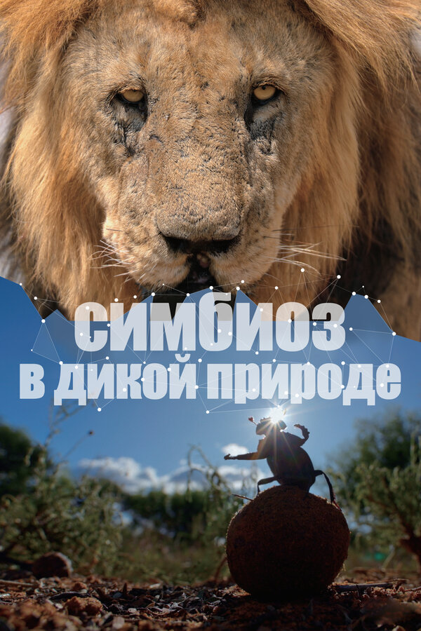 Постер: Симбиоз в дикой природе (2023)