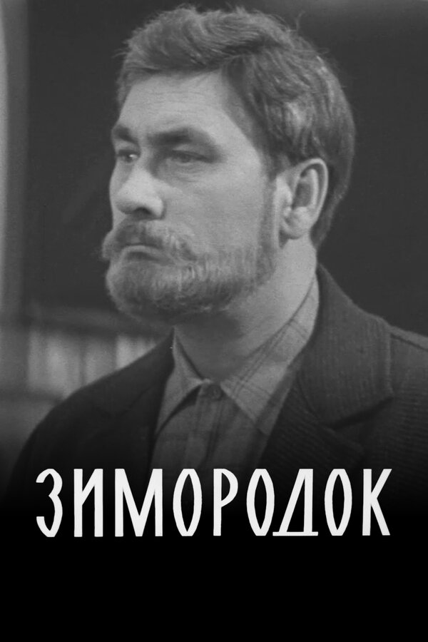 Постер: Зимородок (1972)