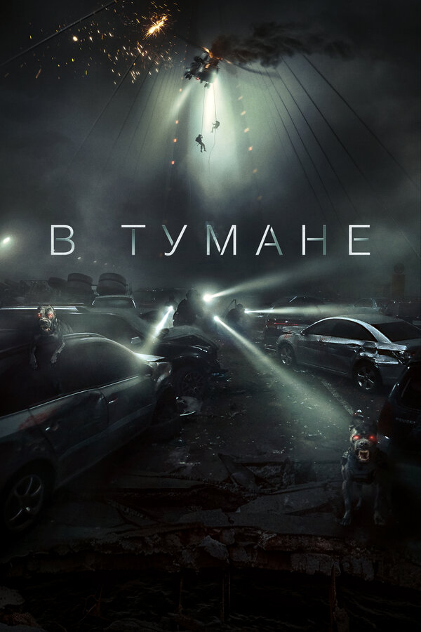 Постер: В тумане (2024)