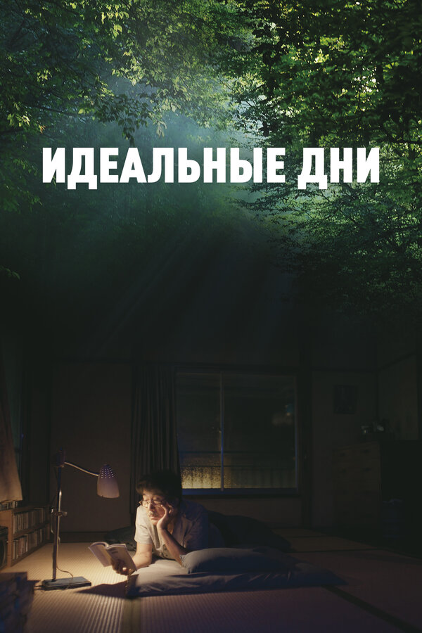 Постер: Идеальные дни (2023)