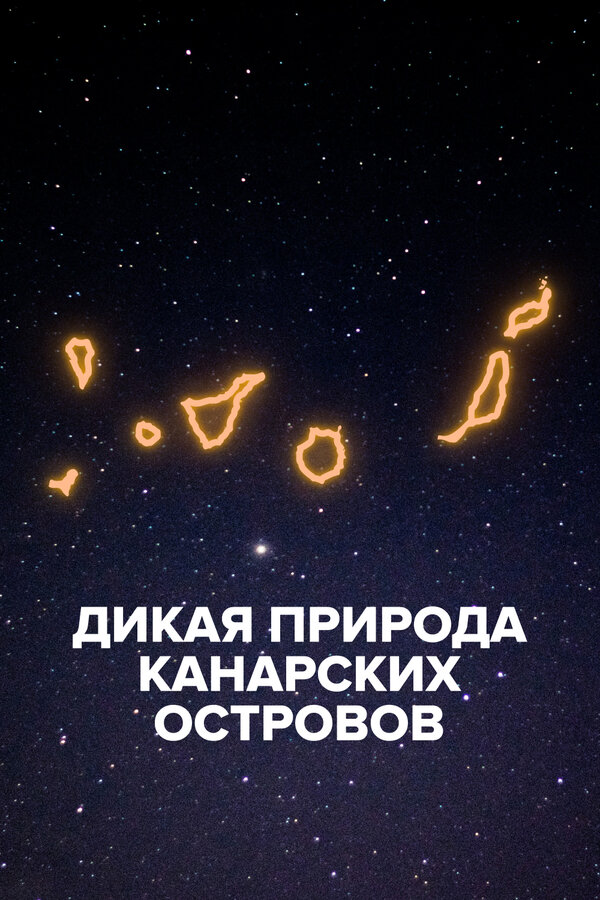 Постер: Дикая природа Канарских островов (2021)