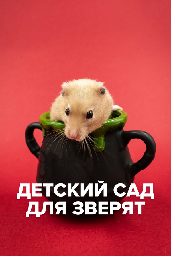 Постер: Детский сад для зверят (2021)