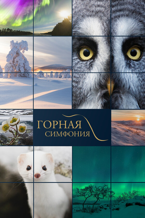 Постер: Горная симфония (2021)