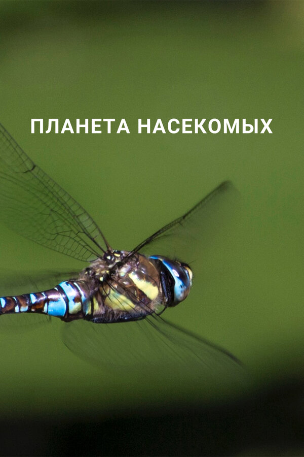 Постер: Планета насекомых (2022)