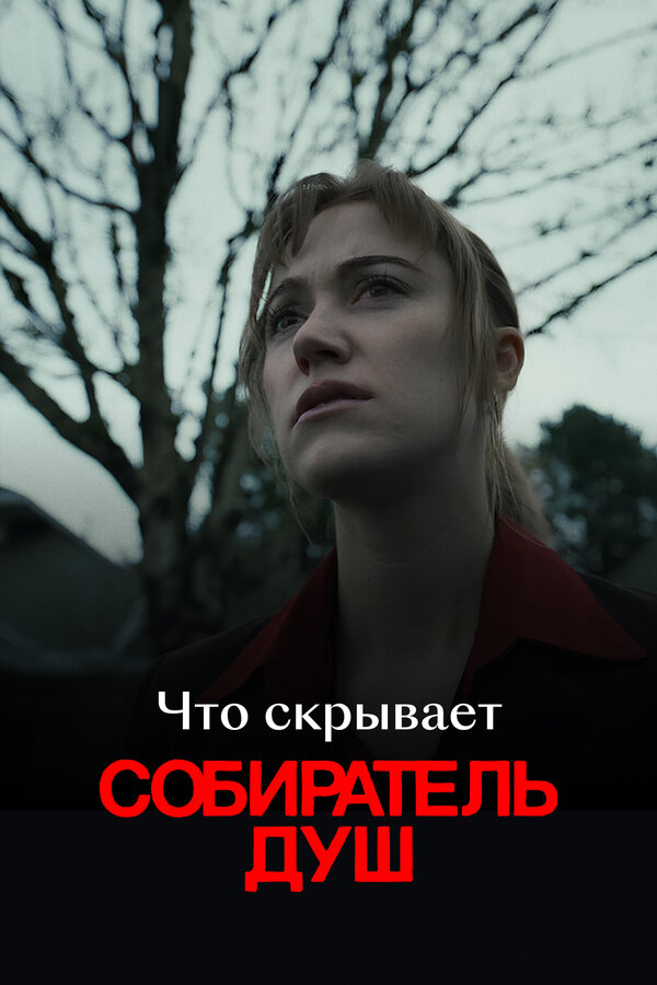 Постер: Что скрывает «Собиратель душ» (2024)
