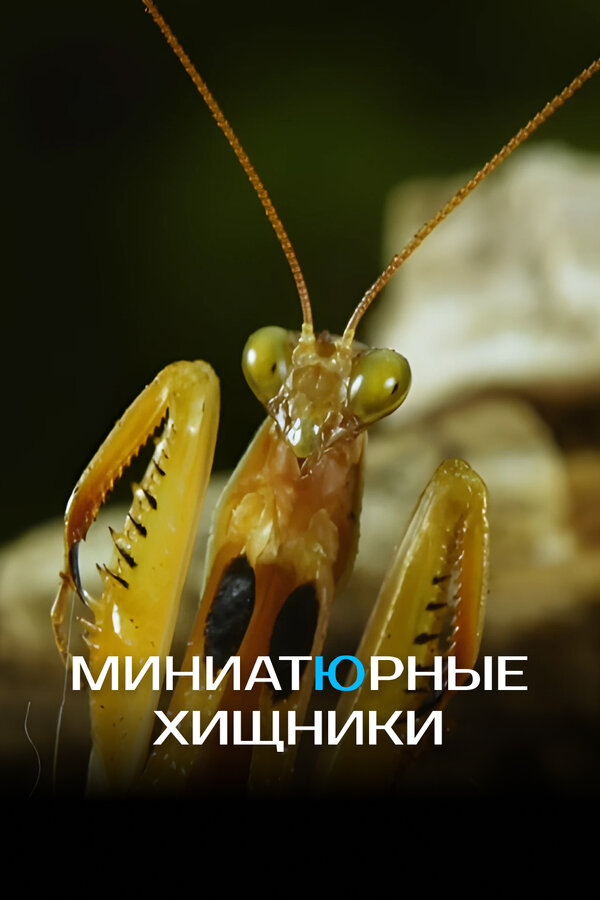 Постер: Миниатюрные хищники (2019)