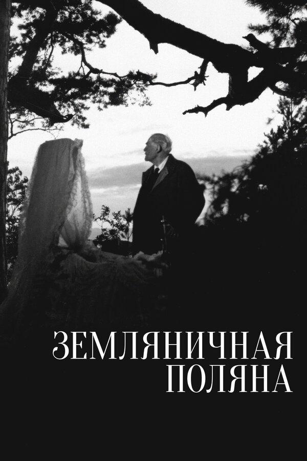 Постер: Земляничная поляна (1957)