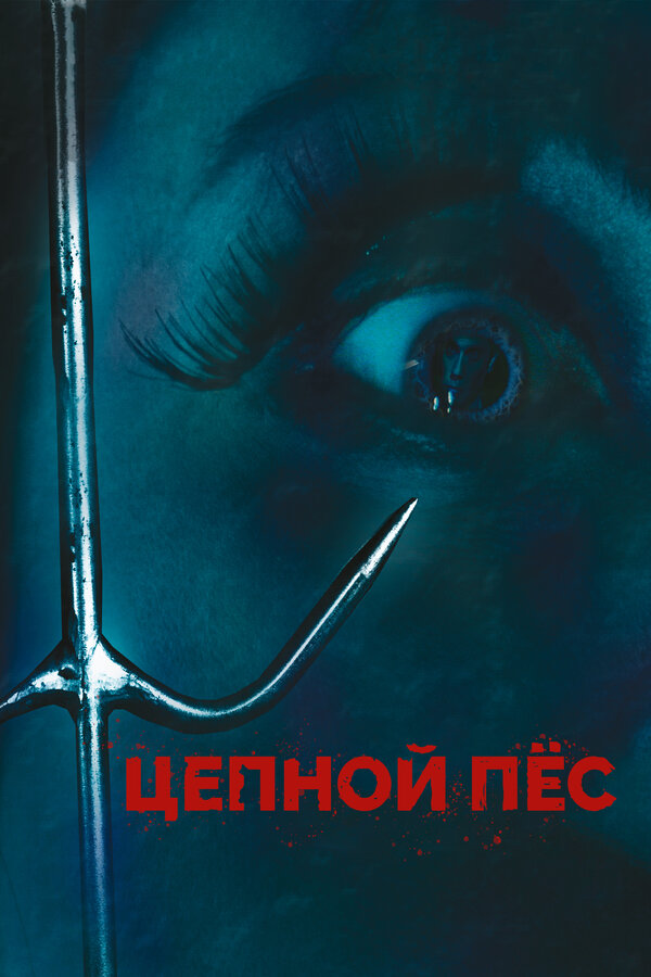 Постер: Цепной пес (2010)