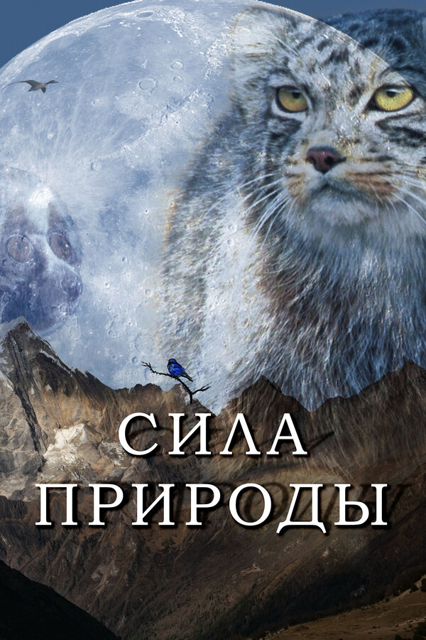 Постер: Сила природы (2020)