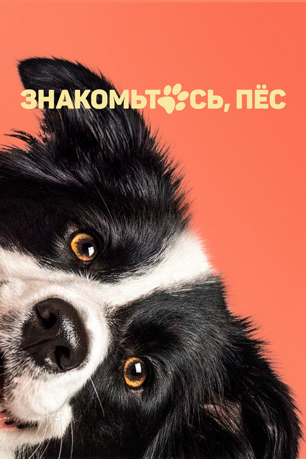 Постер: Знакомьтесь, пёс (2022)