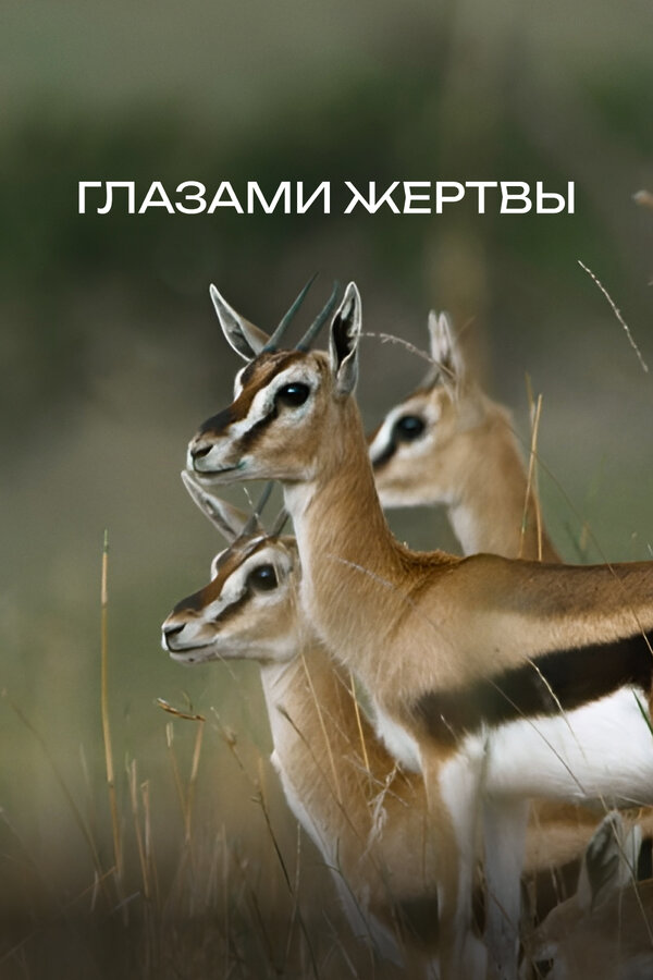 Постер: Глазами жертвы (2019)