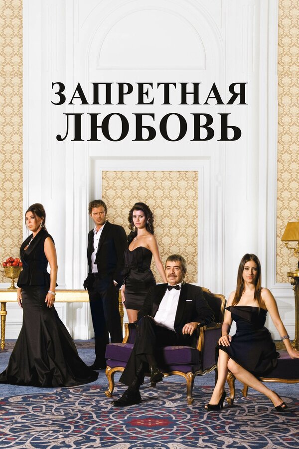 Постер: Запретная любовь (2008)