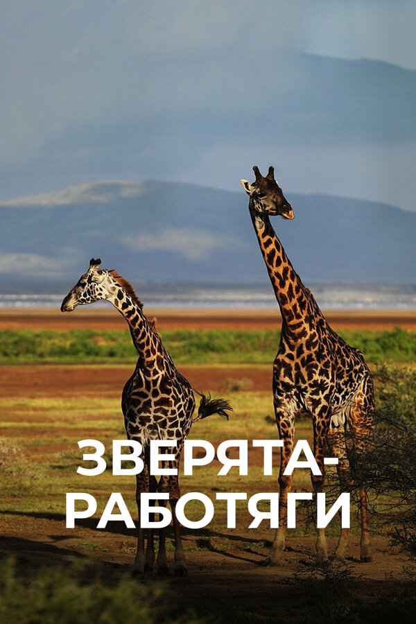 Постер: Зверята-работяги (2019)