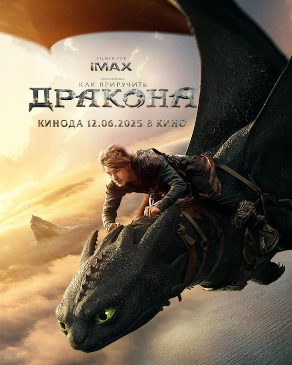 Постер: Как приручить дракона (2025)