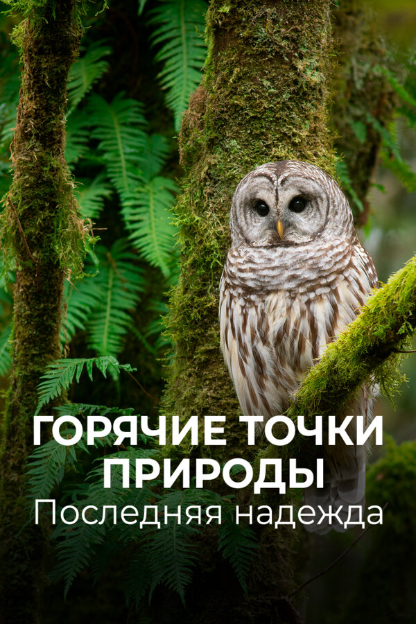 Постер: Горячие точки природы. Последняя надежда (2018)