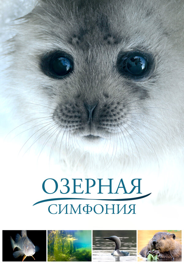 Постер: Озерная симфония (2016)
