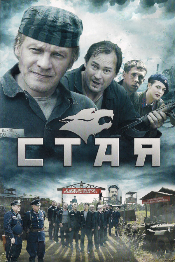 Постер: Стая (2009)