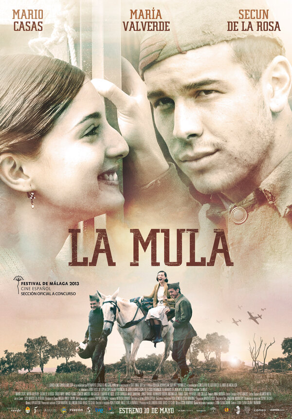 Постер: Мул (2013)