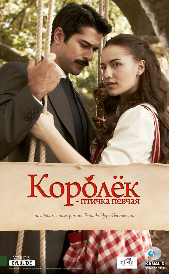 Постер: Королёк – птичка певчая (2013)