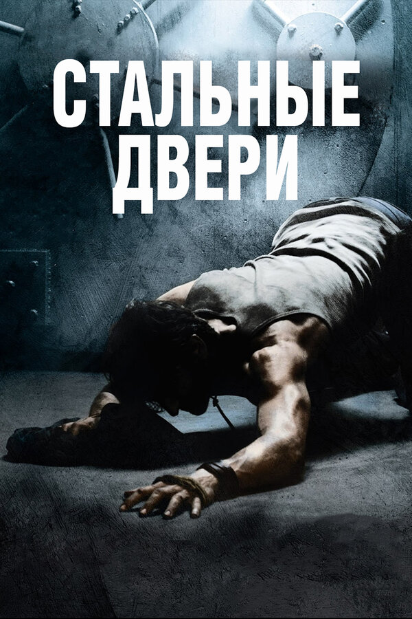 Постер: Стальные двери (2010)