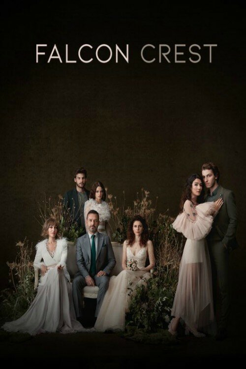 Постер: Соколиный холм (2018)