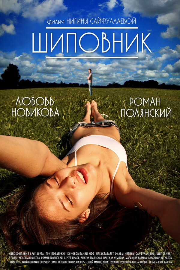 Постер: Шиповник (2011)