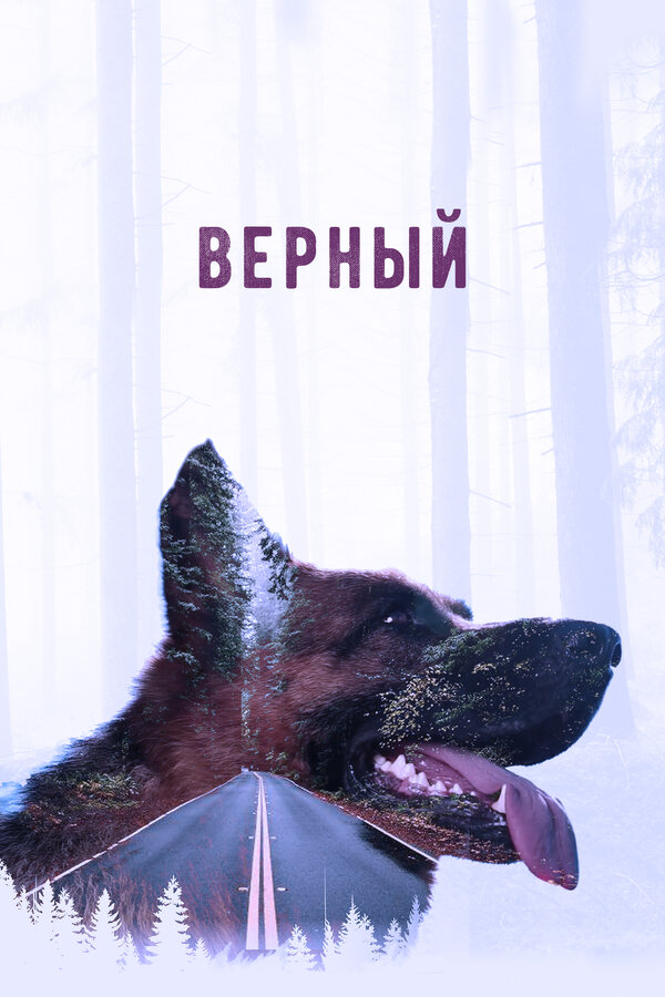 Постер: Верный (2016)