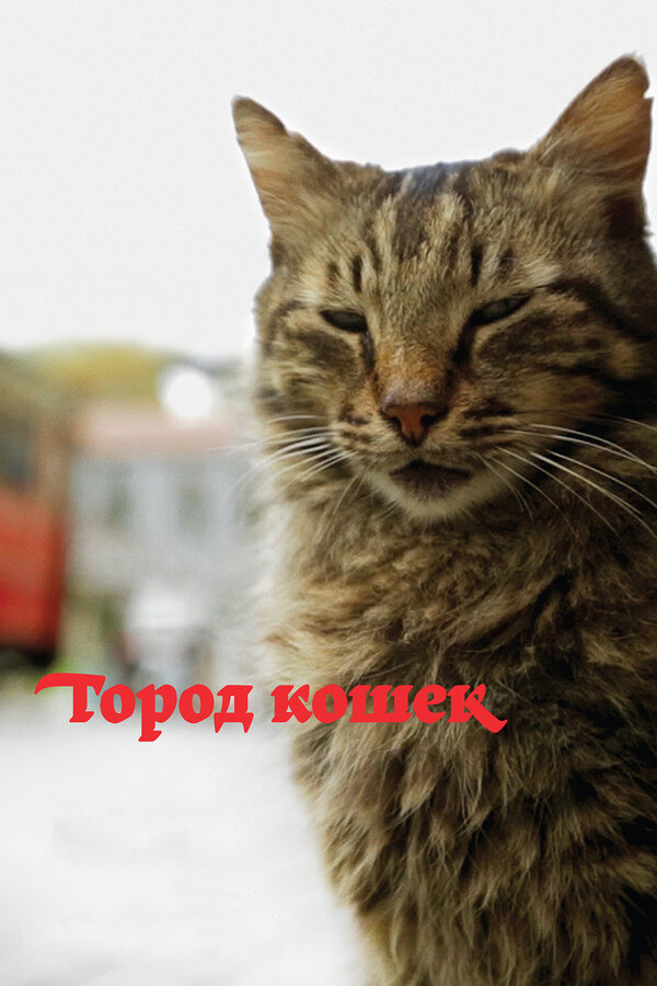 Постер: Город кошек (2016)