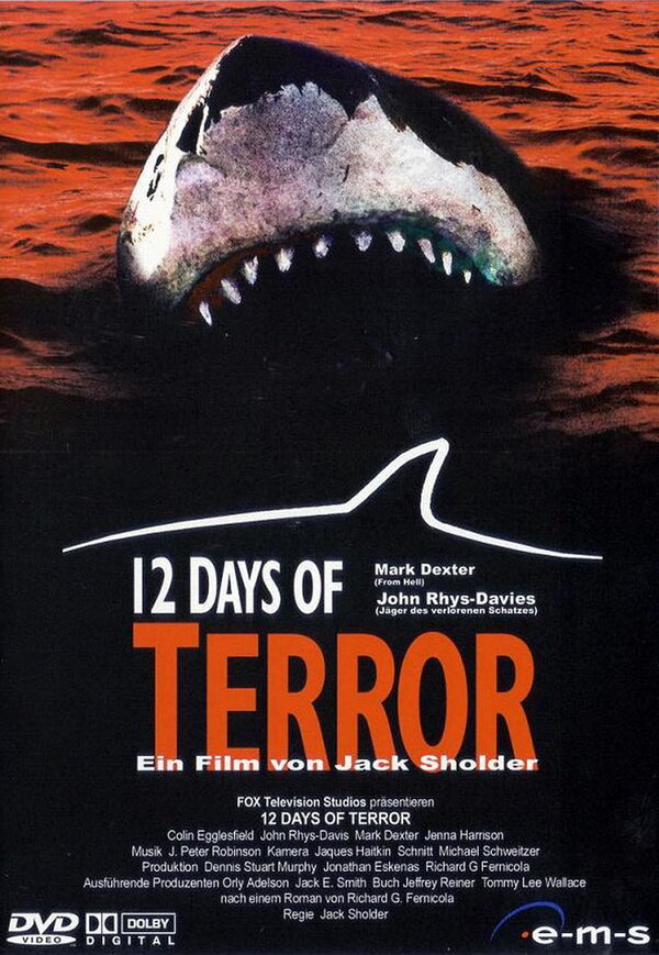 Постер: 12 дней страха (2004)