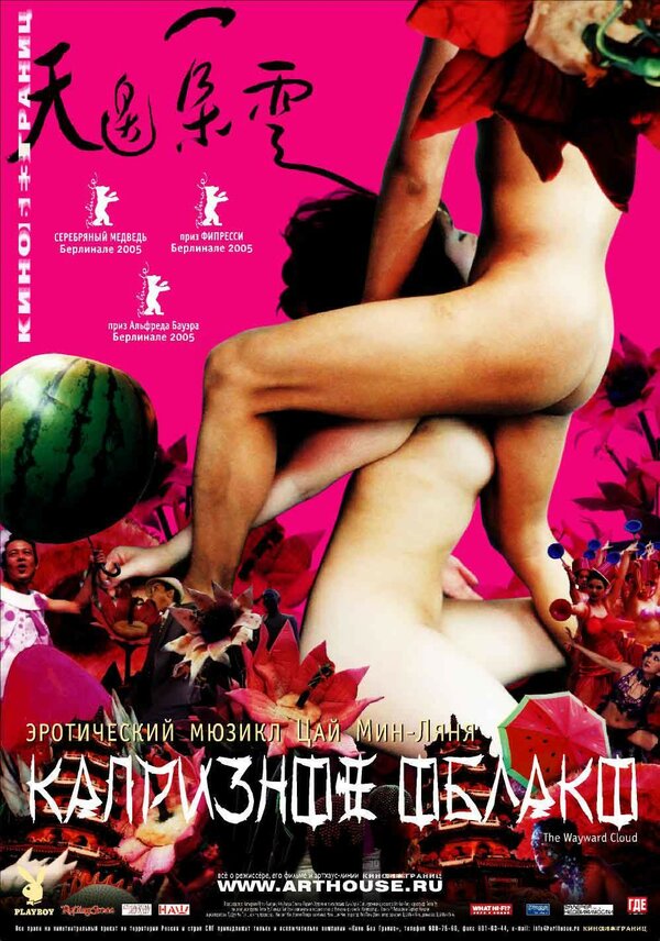 Постер: Капризное облако (2005)