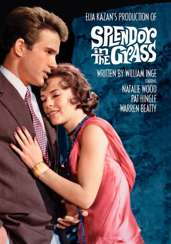 Постер: Великолепие в траве (1961)