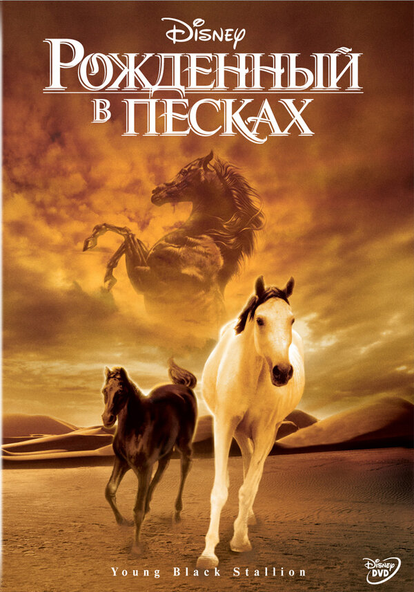Постер: Рожденный в песках (2003)