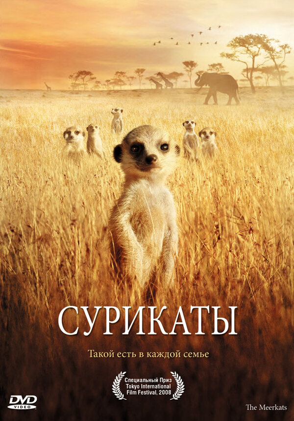Постер: Сурикаты (2007)