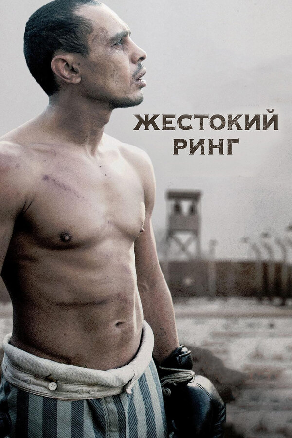 Постер: Жестокий ринг (2013)