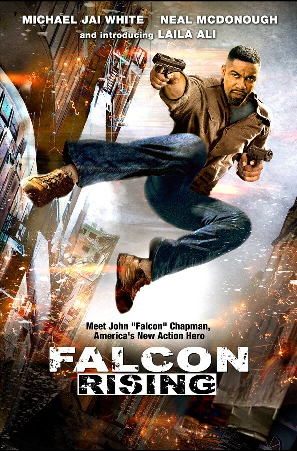 Постер: Восхождение Сокола (2013)