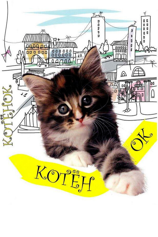 Постер: Котенок (1996)