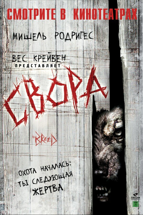 Постер: Свора (2006)