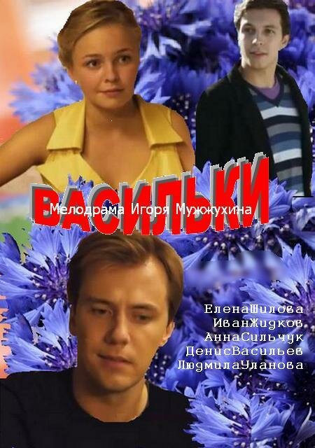 Постер: Васильки (2013)