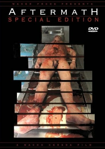 Постер: После смерти (1994)