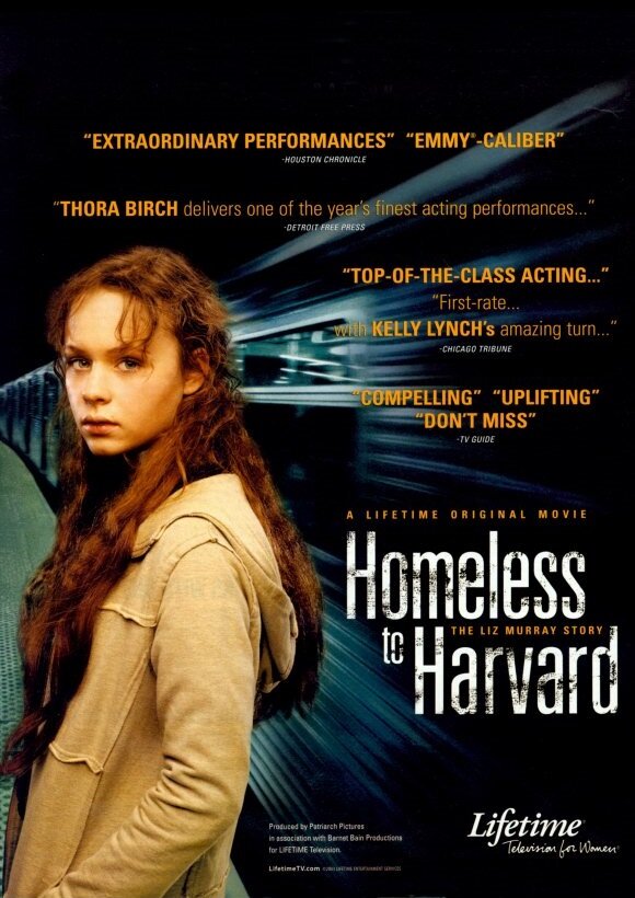 Постер: Гарвардский бомж (2003)
