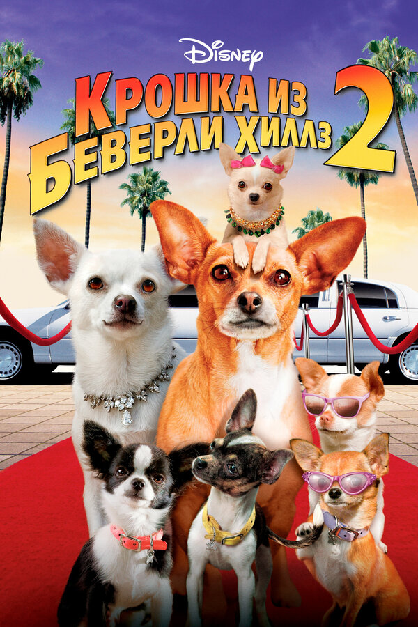 Постер: Крошка из Беверли-Хиллз 2 (2010)