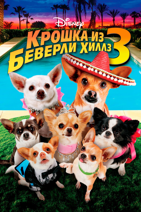 Постер: Крошка из Беверли-Хиллз 3 (2012)