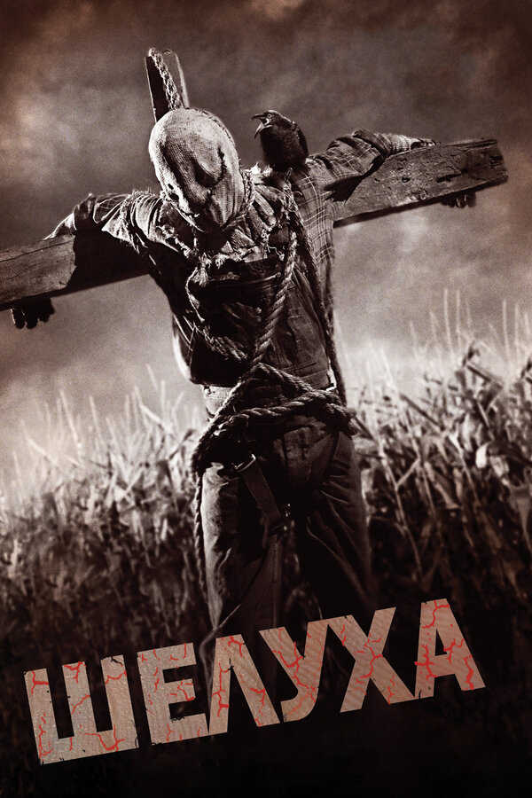 Постер: Шелуха (2010)