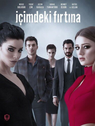 Постер: Буря внутри меня (2017)