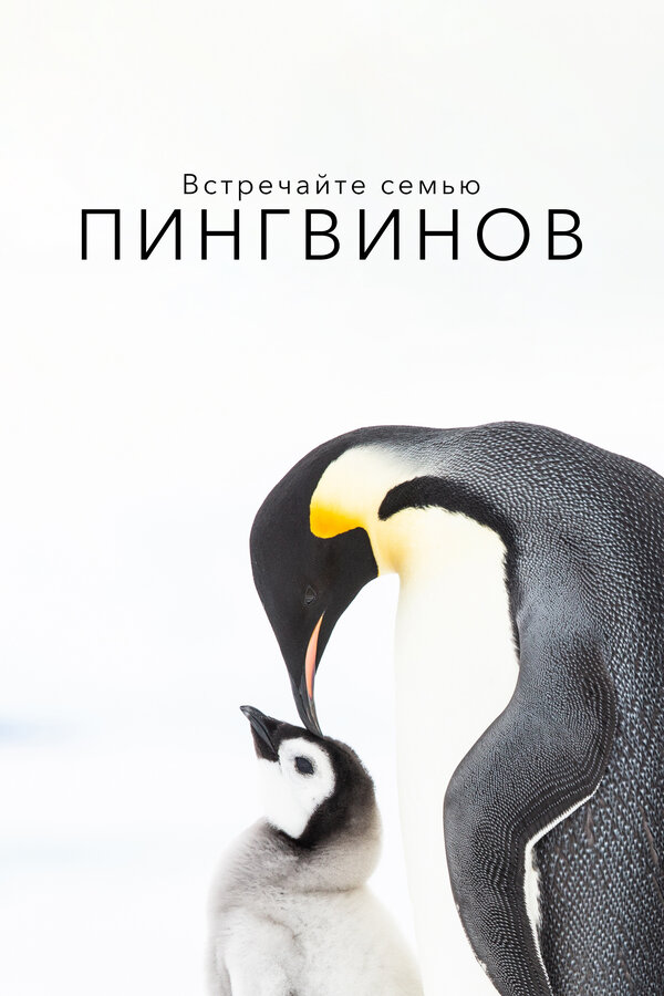 Постер: Встречайте семью пингвинов (2020)